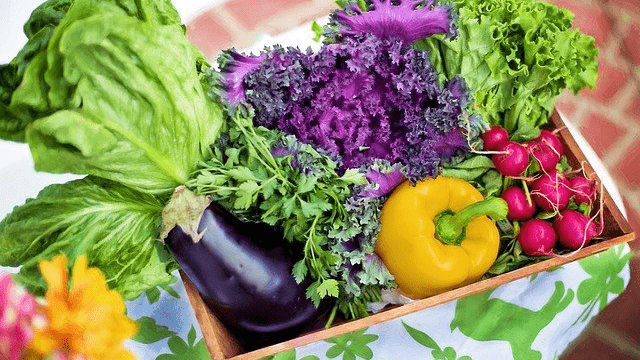 有機野菜と無農薬野菜の違いは？