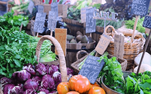 有機野菜と無農薬野菜の違いは？